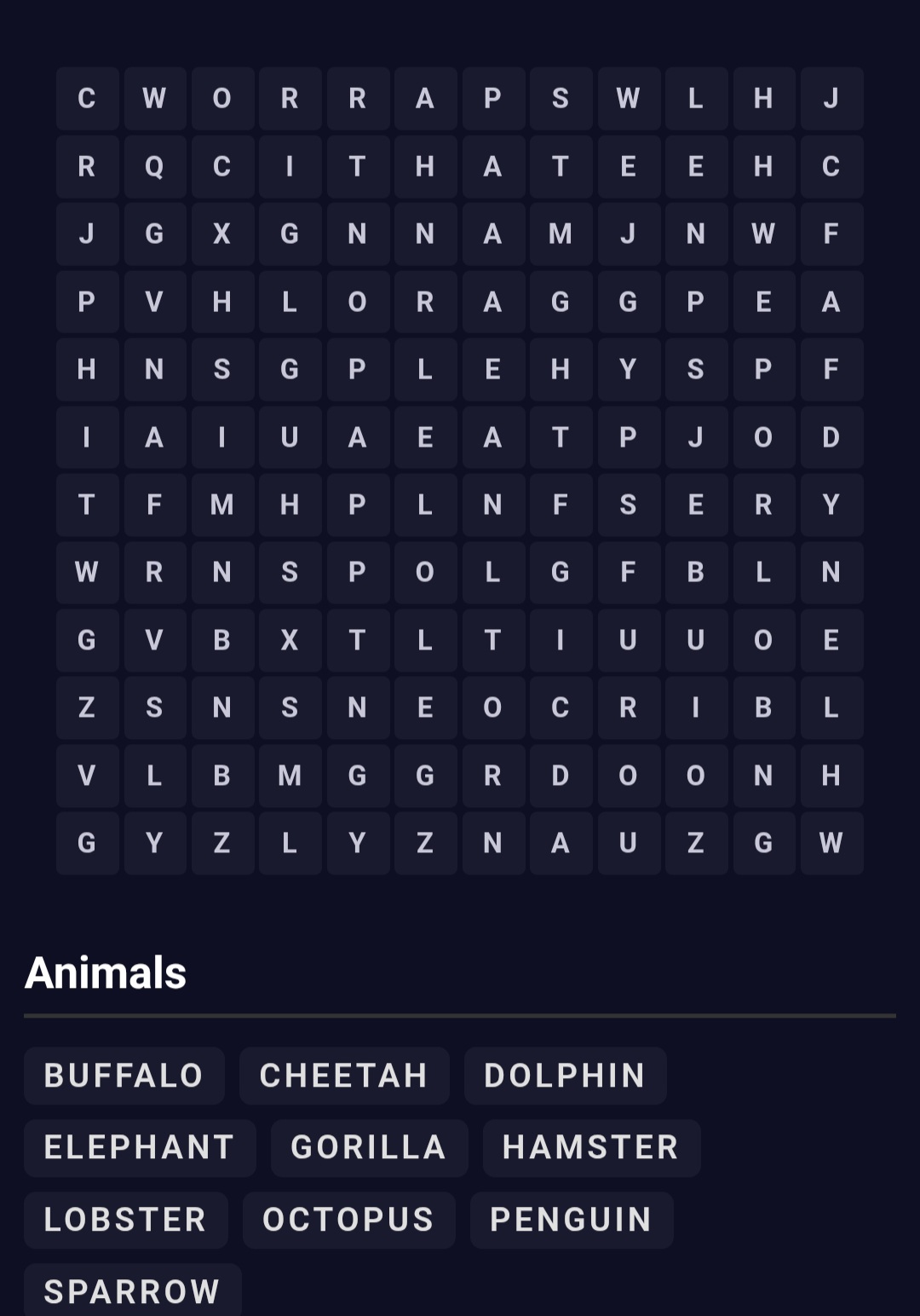 word-search Zeka