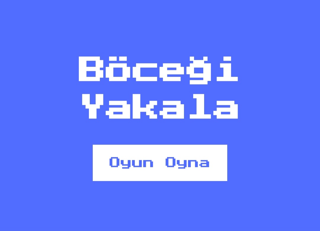 Bocek Yakala